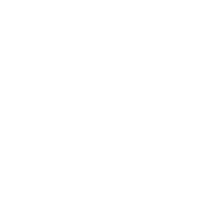 Logo Ziggy Moens